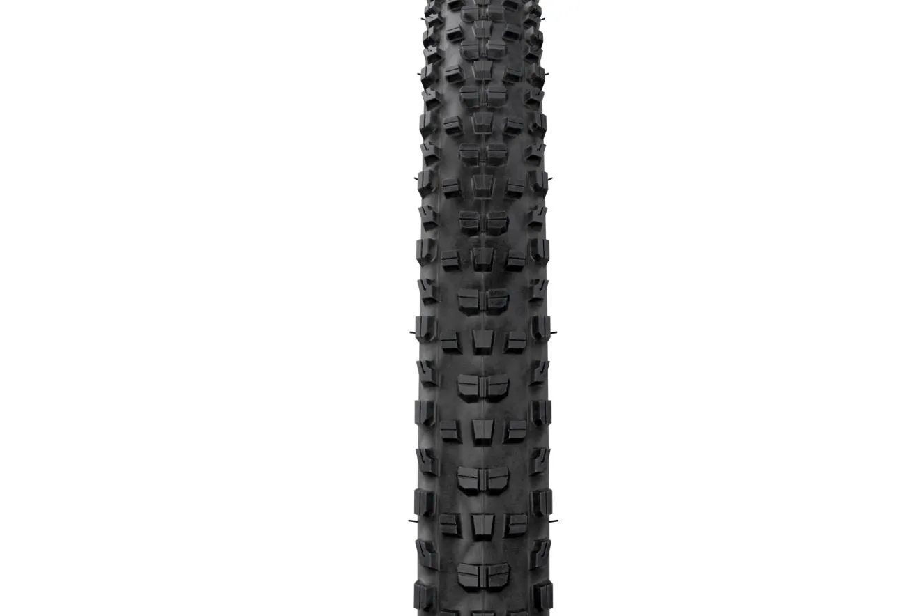 Bontrager Gunnison RSL XT TLR MTB Tire